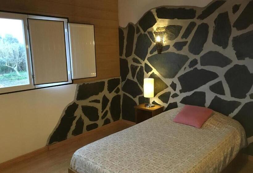 اتاق اکونومی, Lusitaurus