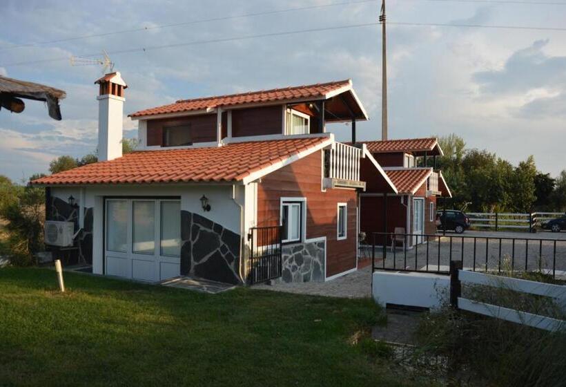 بانگلوی استاندارد, Lusitaurus