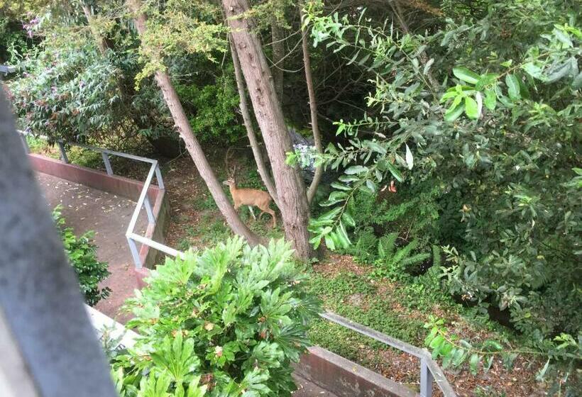 수피리어 룸, Shaw House Inn