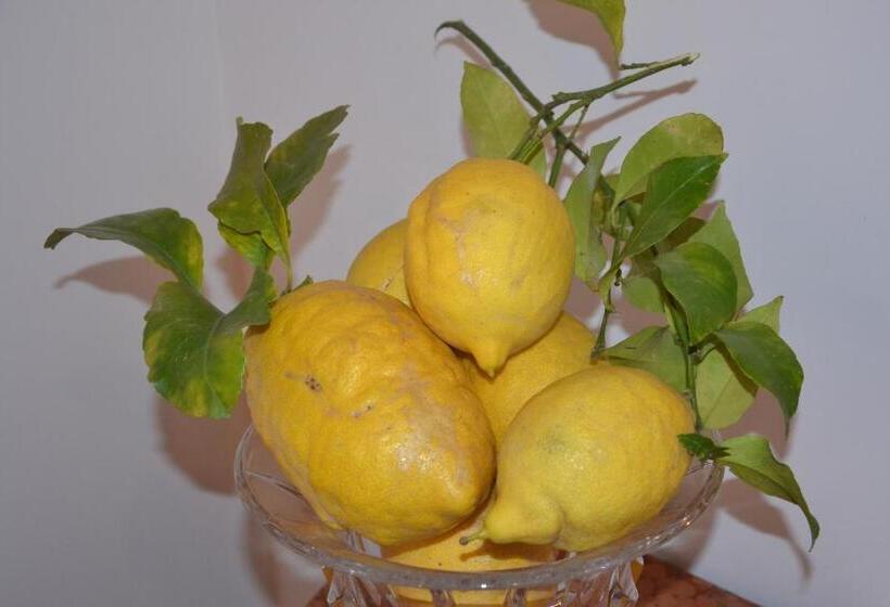 חדר דלוקס לשלושה עם נו לים, Terra Murata Boutique B&b