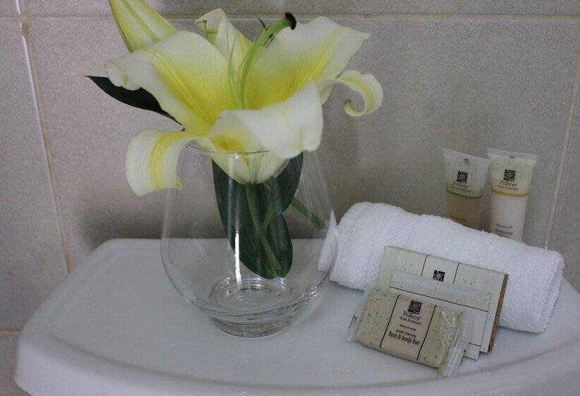 اتاق استاندارد, Timeless Hotel Boutique