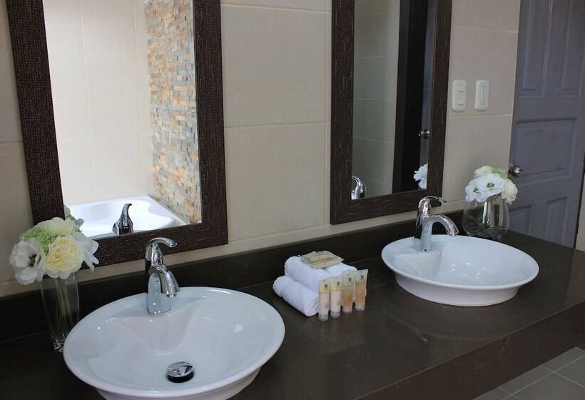 اتاق خانوادگی, Timeless Hotel Boutique