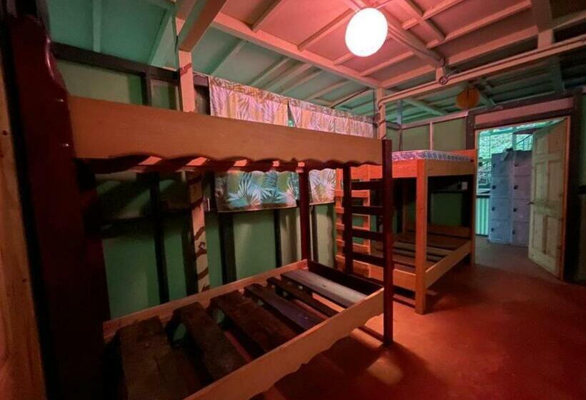 تختخواب در اتاق مشترک, Corcovado Adventures