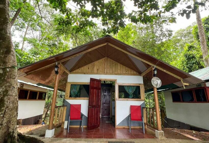 بانگلوی استاندارد با چشم‌انداز دریا, Corcovado Adventures