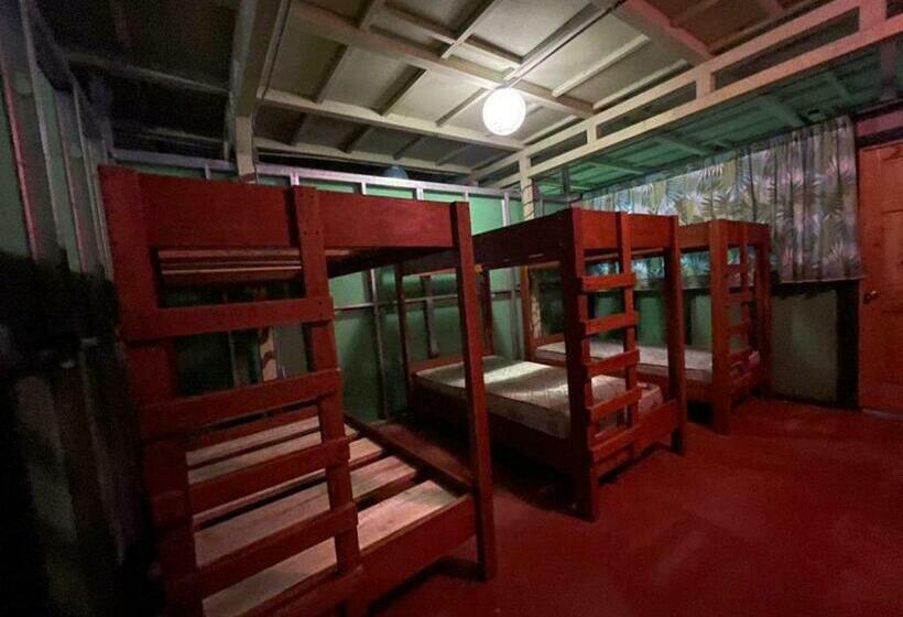 تختخواب در اتاق مشترک, Corcovado Adventures