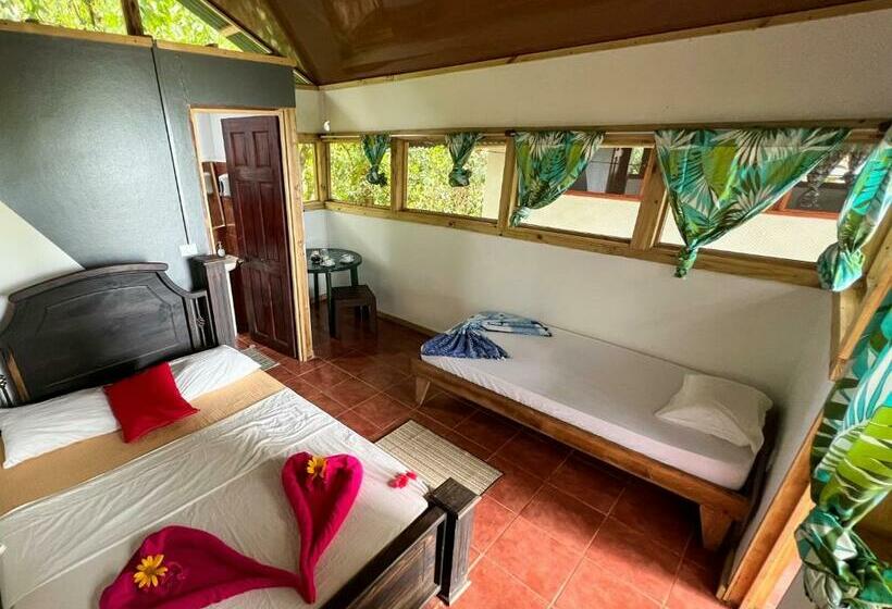 بانگلوی استاندارد با چشم‌انداز دریا, Corcovado Adventures