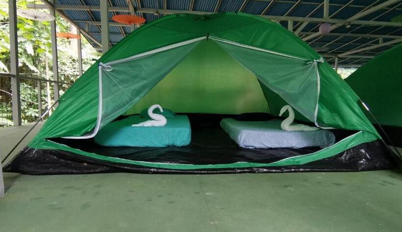 چادر با خدمات رفاهی استاندارد, Corcovado Adventures