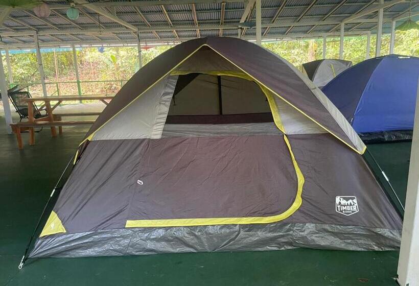 چادر با خدمات رفاهی استاندارد, Corcovado Adventures