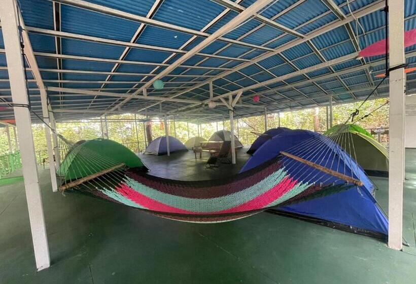 چادر با خدمات رفاهی استاندارد, Corcovado Adventures