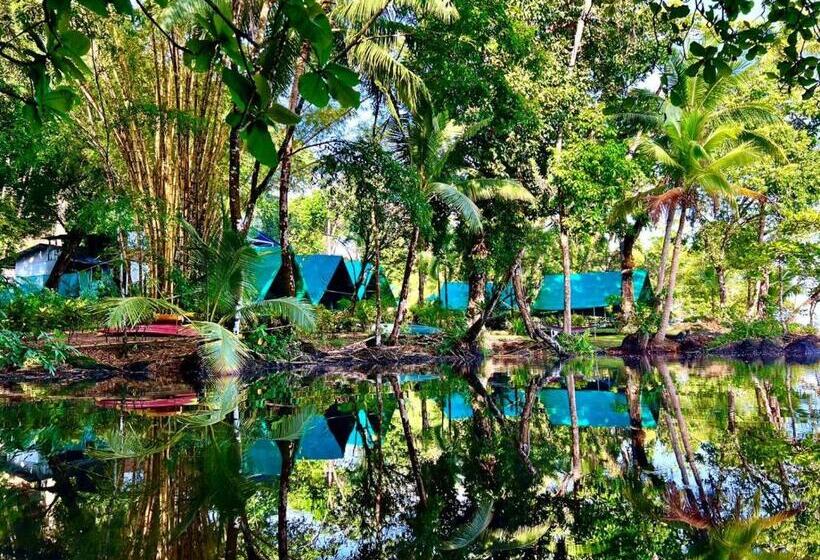 چادر با خدمات رفاهی استاندارد, Corcovado Adventures