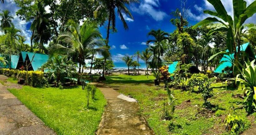 چادر با خدمات رفاهی استاندارد, Corcovado Adventures