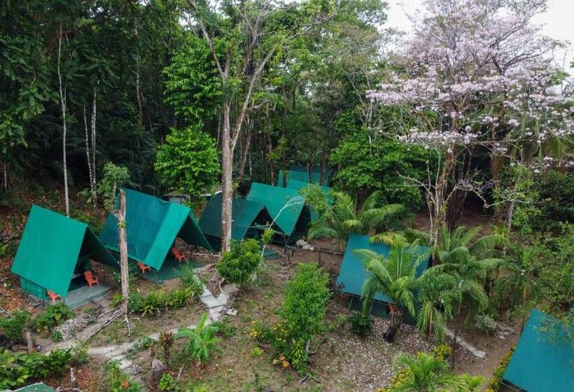 چادر با خدمات رفاهی استاندارد, Corcovado Adventures