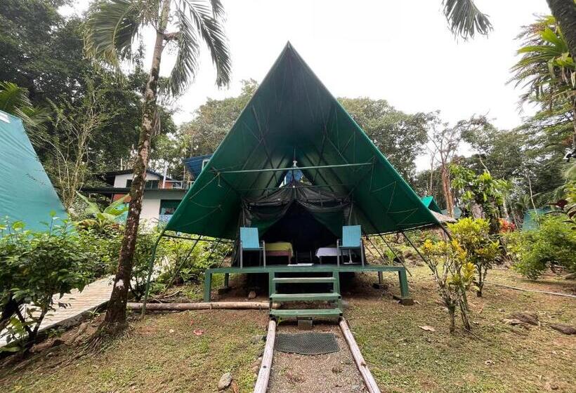 چادر با خدمات رفاهی استاندارد, Corcovado Adventures