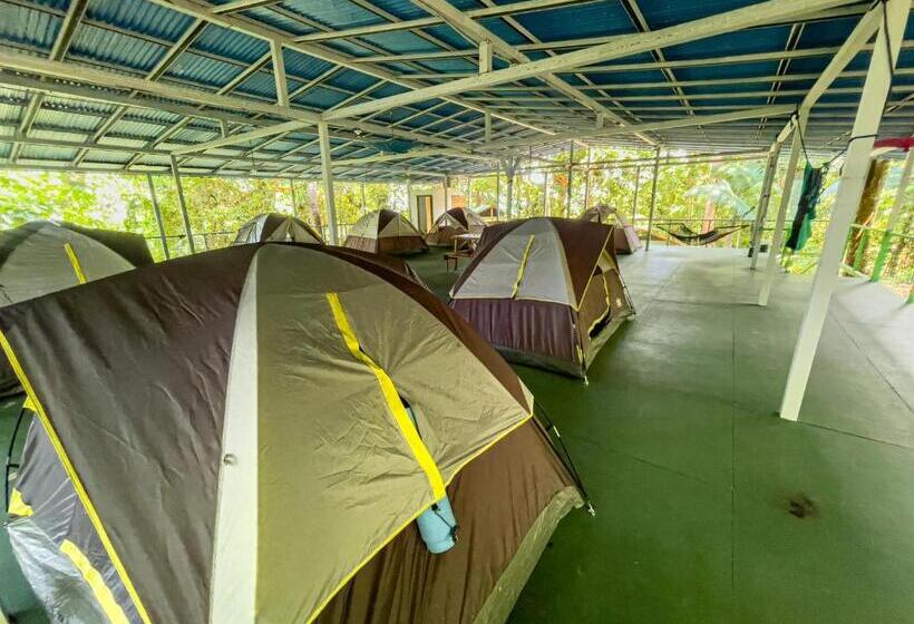 چادر با خدمات رفاهی استاندارد, Corcovado Adventures