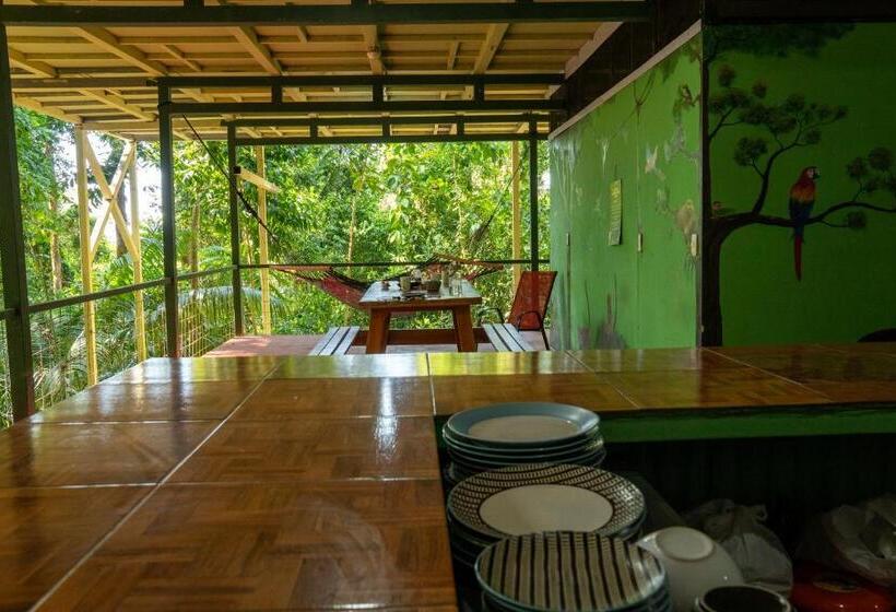 چادر با خدمات رفاهی استاندارد, Corcovado Adventures