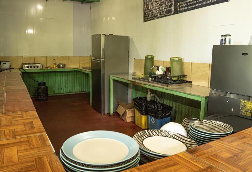 چادر با خدمات رفاهی استاندارد, Corcovado Adventures