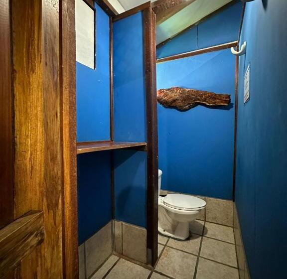 Апартаменты 1 Спальня Вид на Сад, Playa Negra Brewing Beachfront