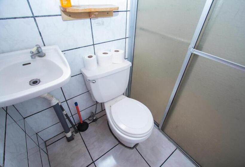 شقة غرفة واحدة مطلة على البحر, Pura Natura Lodge Manuel Antonio