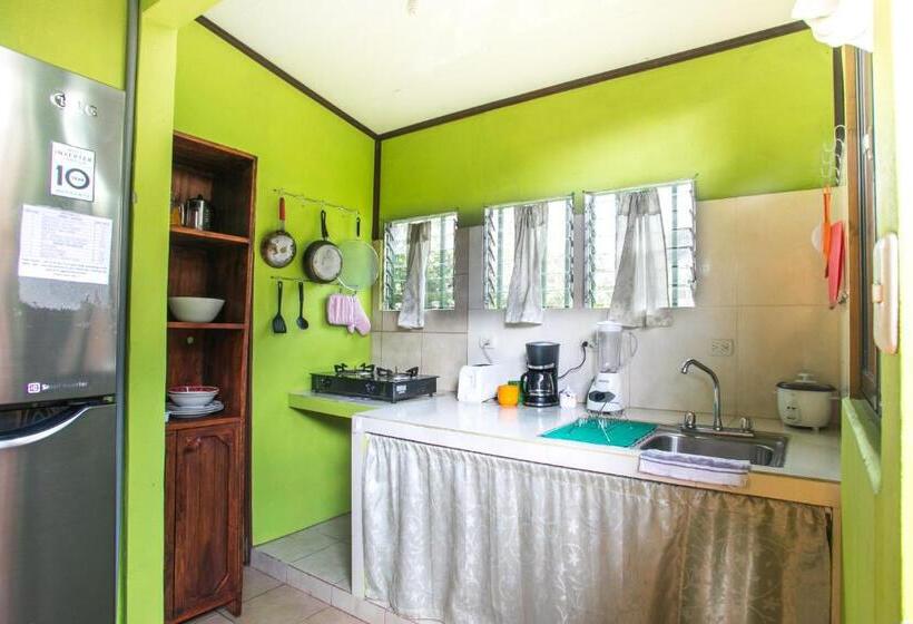 شقة غرفة واحدة, Pura Natura Lodge Manuel Antonio