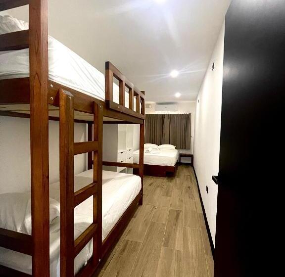 جناح ديلوكس مطل على البحر, Pura Natura Lodge Manuel Antonio