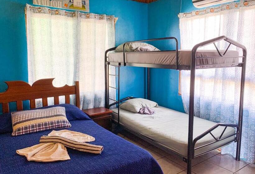 شقة غرفة واحدة مطلة على البحر, Pura Natura Lodge Manuel Antonio