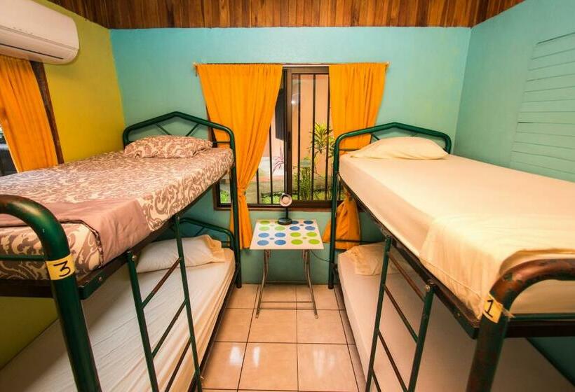 سرير فى غرفة مشتركة مزودة بحمام مشترك, Pura Natura Lodge Manuel Antonio