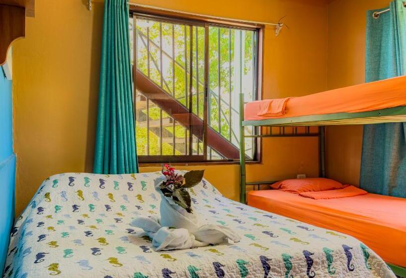 Апартаменты 1 Спальня Вид на Море, Pura Natura Lodge Manuel Antonio