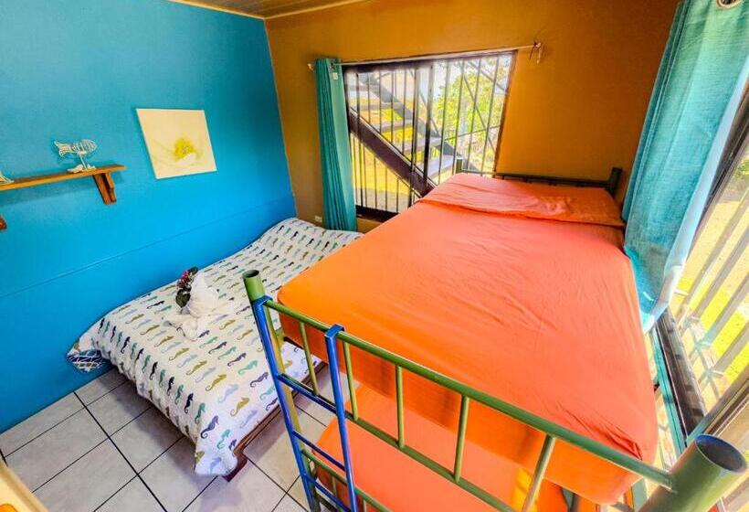 شقة غرفة واحدة مطلة على البحر, Pura Natura Lodge Manuel Antonio