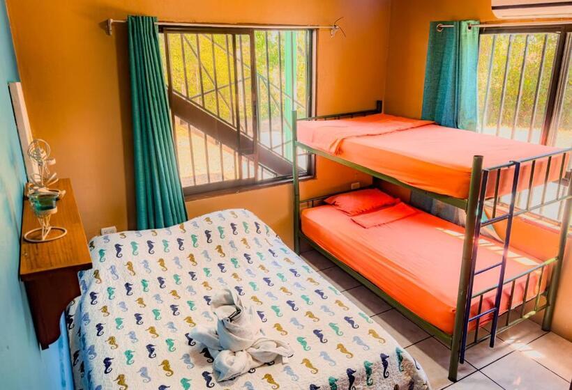 شقة غرفة واحدة مطلة على البحر, Pura Natura Lodge Manuel Antonio