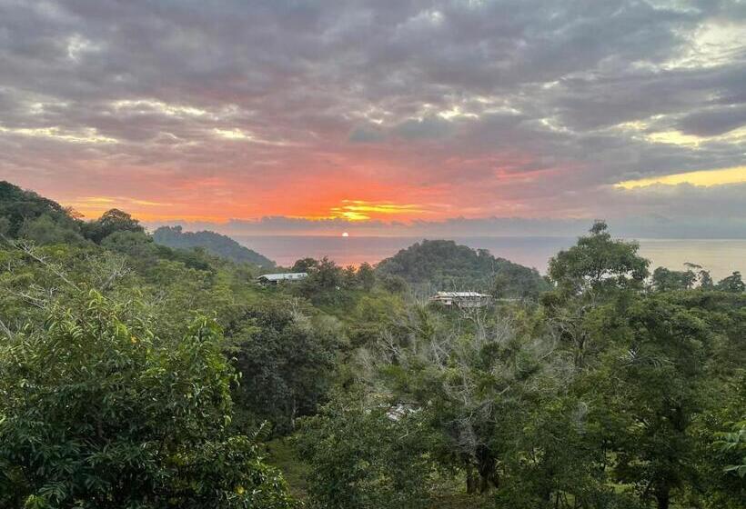 غرفة عائلية, Pura Natura Lodge Manuel Antonio