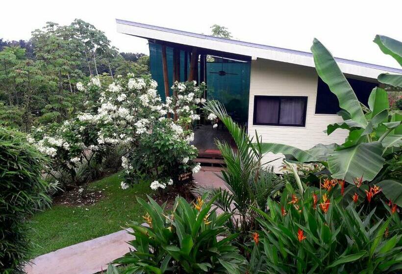 스탠다드 방갈로, Eden Tica Lodge