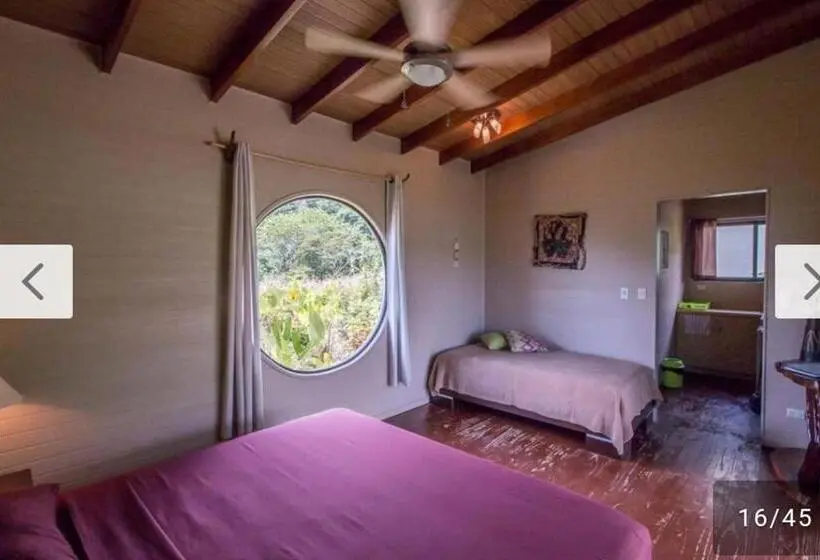 Standard-bungalow, Eden Tica Lodge