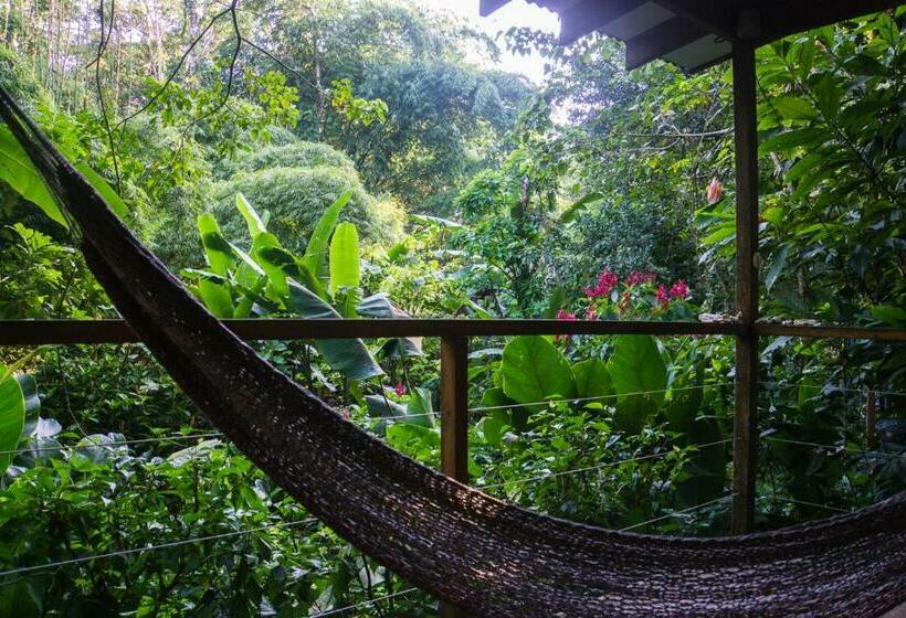 Номер Стандарт с Террасой, El Tucan Jungle Lodge