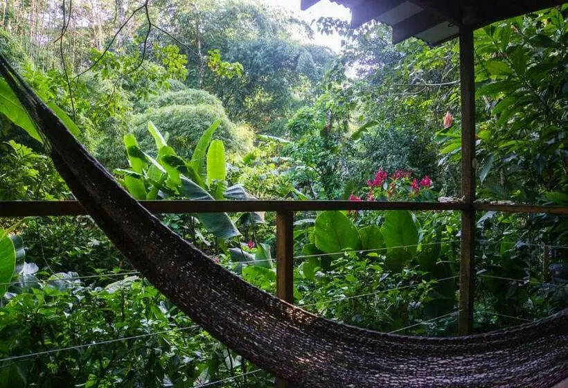 ファミリールーム, El Tucan Jungle Lodge