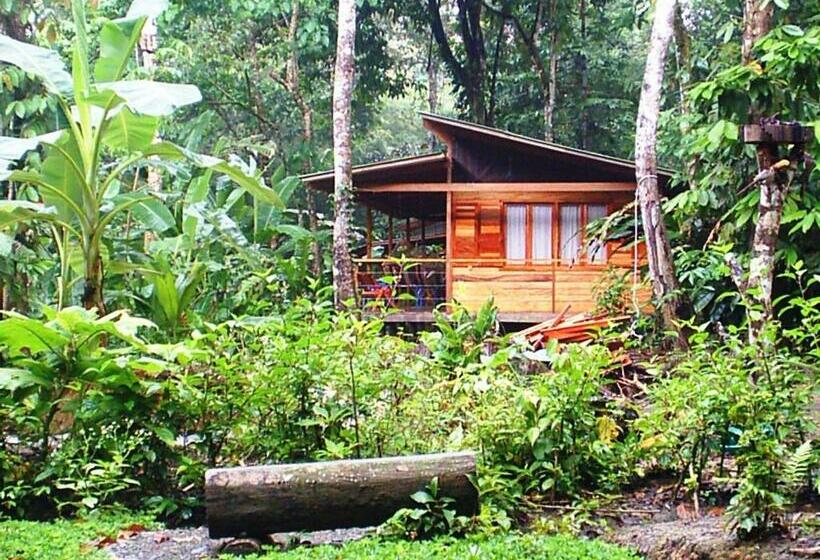 Семейный Номер, El Tucan Jungle Lodge