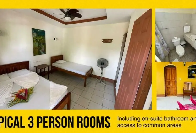 庭の見えるスタンダードトリプルルーム, Casa Moreno Hostel