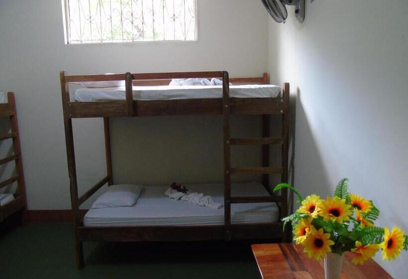 Кровать в Общей Комнате, Casa Moreno   Hostel
