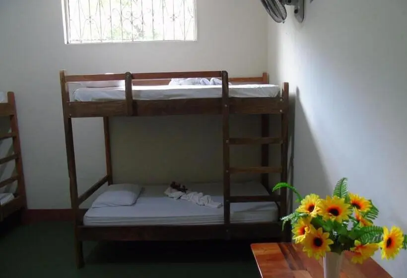 ルームシェアのワンベッド, Casa Moreno Hostel
