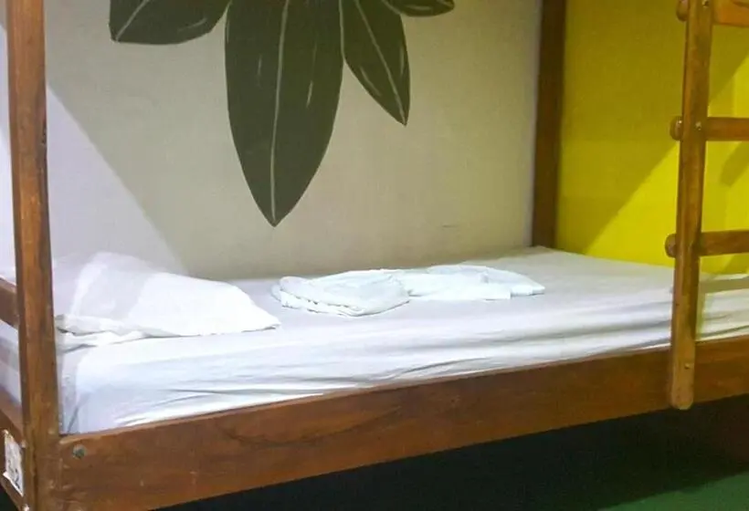 ルームシェアのワンベッド, Casa Moreno Hostel