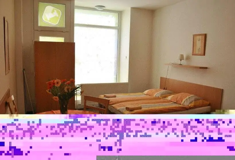 スタンダードシングルルーム, Hostel Děčín