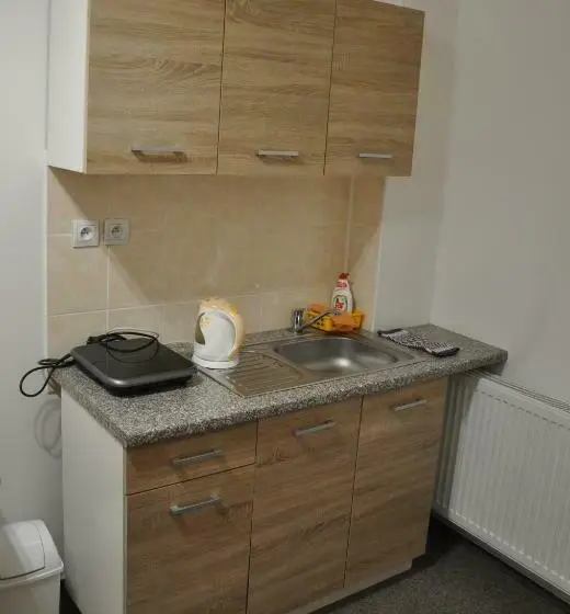 スタンダードシングルルーム, Hostel Děčín