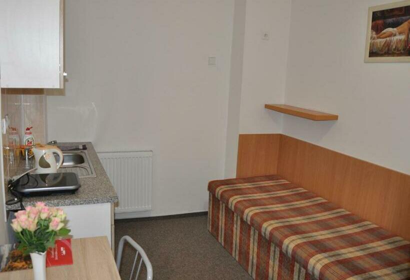 חדר סטנדרט יחיד, Hostel Děčín