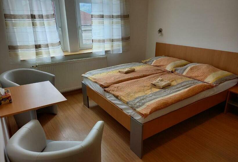 חדר סטנדרט, Hostel Děčín