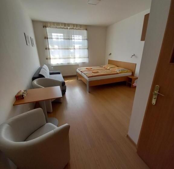 חדר סטנדרט לשלושה, Hostel Děčín