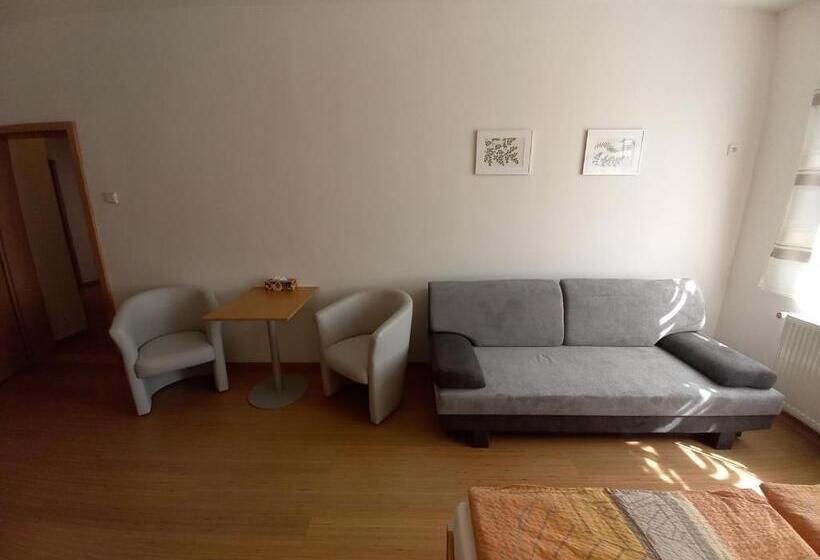 חדר סטנדרט לשלושה, Hostel Děčín