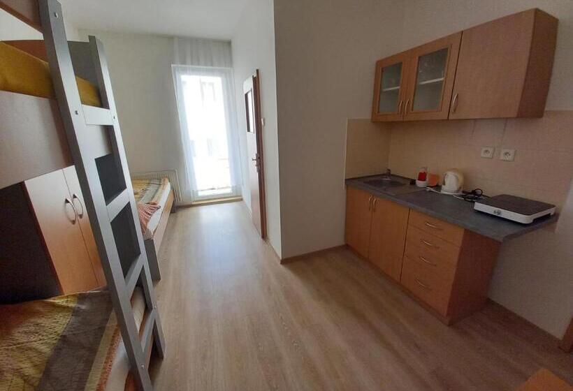 חדר סטנדרט לשלושה עם מרפסת, Hostel Děčín