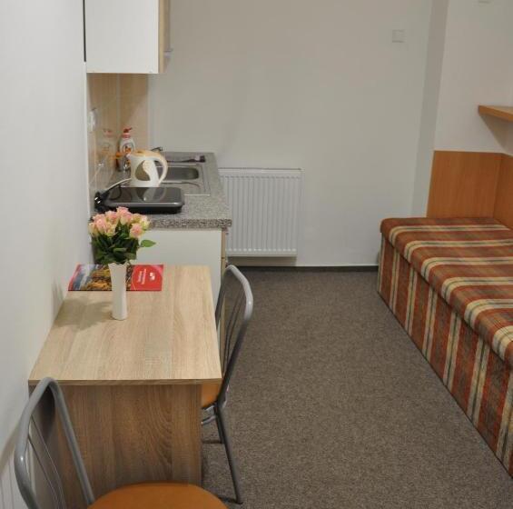 חדר סטנדרט יחיד, Hostel Děčín