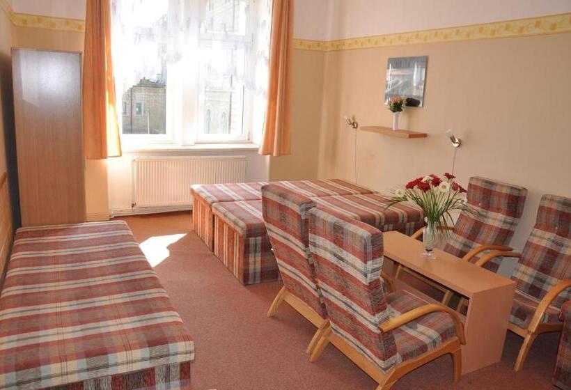 家庭房间共用浴室, Hostel Děčín
