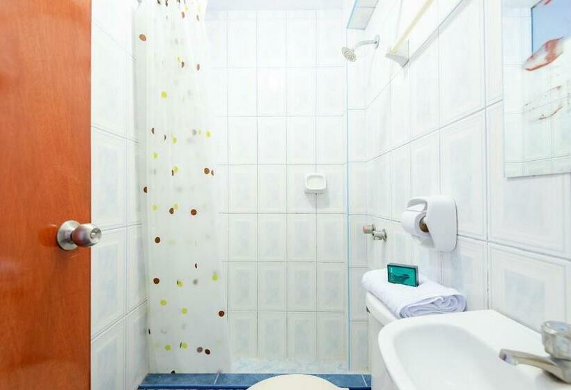 اتاق اکونومی, Savoy Ica