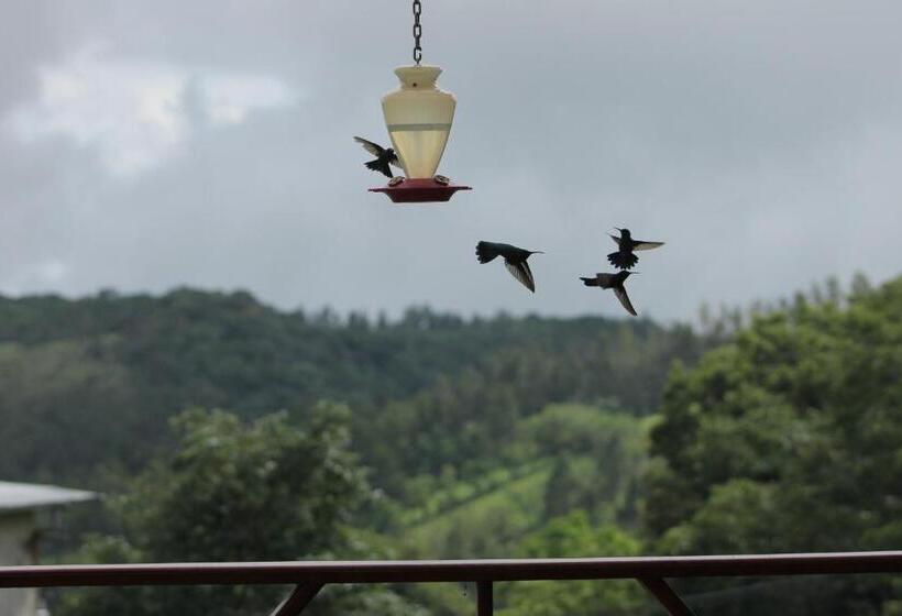 غرفة قياسية مطلّة علي الحديقة, Bosque Verde Lodge